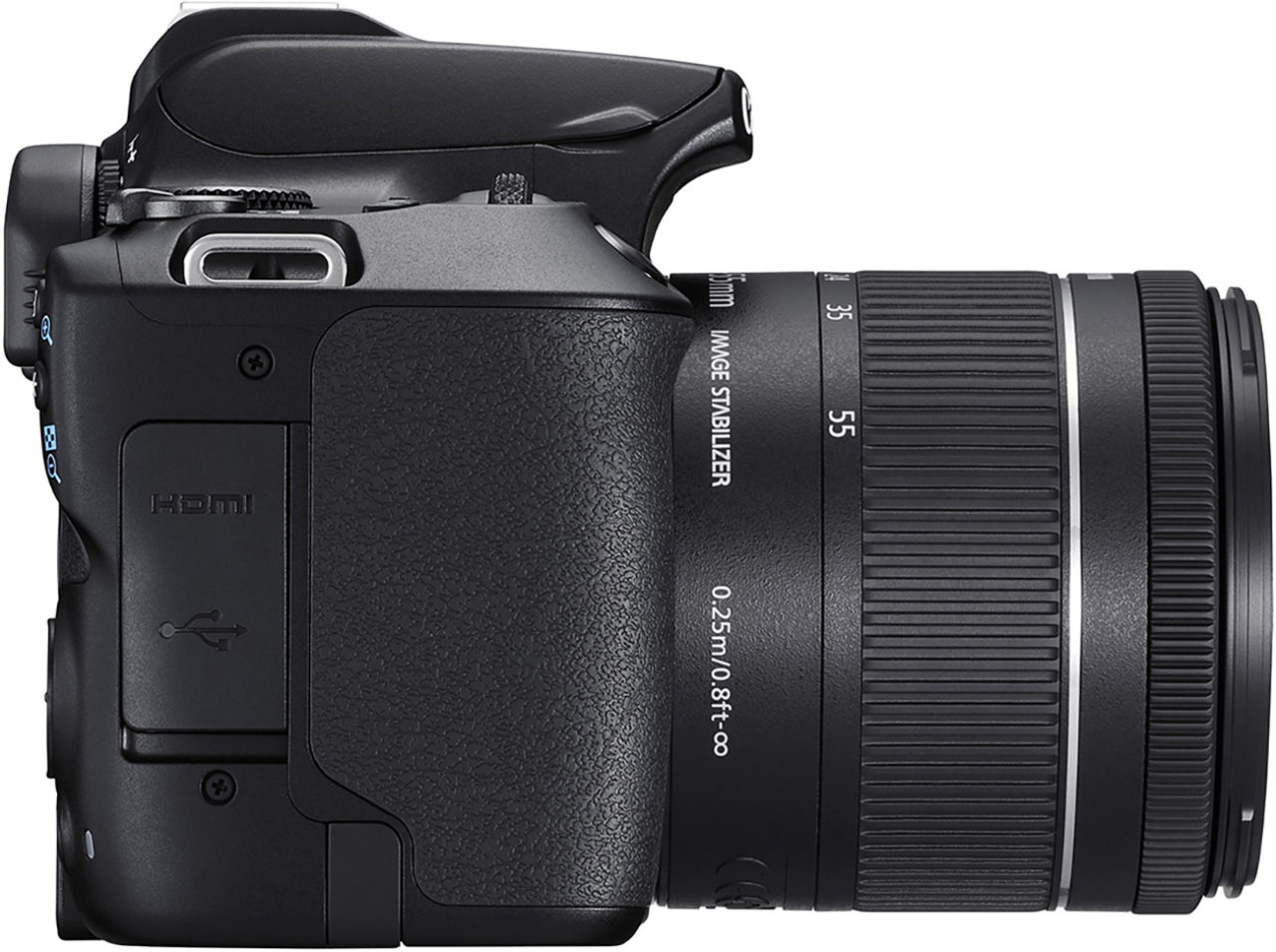 Canon EOS 250D review (Rebel SL3) - Pocket-lint